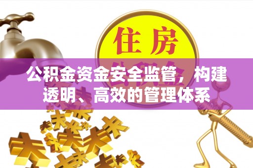 宜秀公积金资金安全监管，构建透明、高效的管理体系