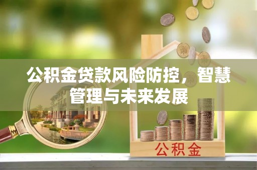 宜秀公积金贷款风险防控，智慧管理与未来发展
