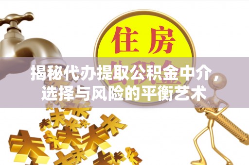 宜秀揭秘代办提取公积金中介，选择与风险的平衡艺术