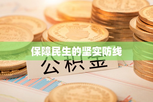 宜秀保障民生的坚实防线