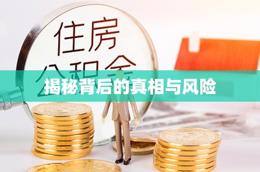 宜秀揭秘背后的真相与风险