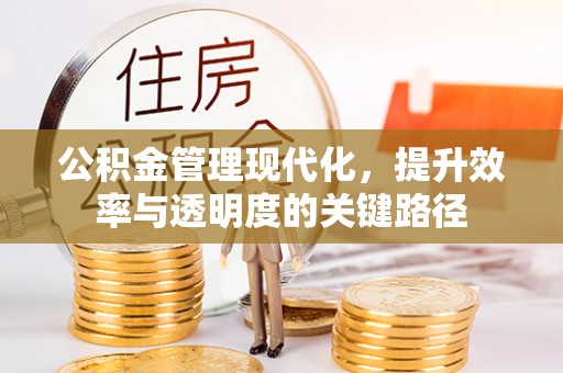 宜秀公积金管理现代化，提升效率与透明度的关键路径
