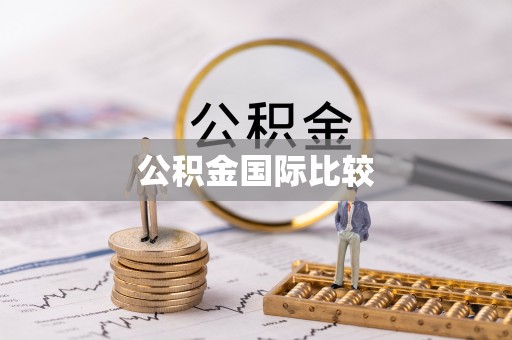 宜秀公积金国际比较