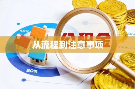 宜秀从流程到注意事项